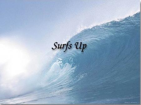 LE SURF DE LA VIE